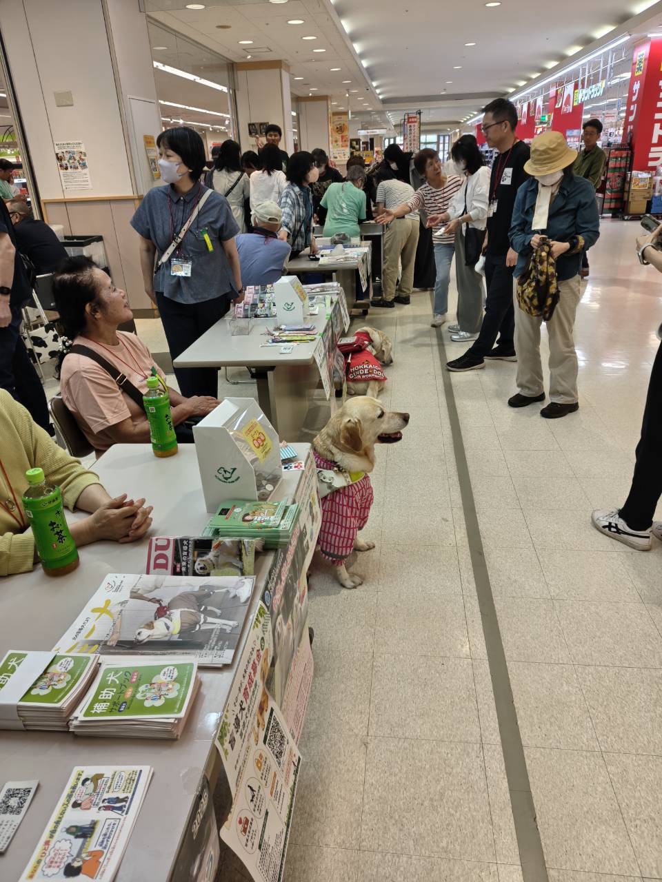 募金に協力いただいている様子