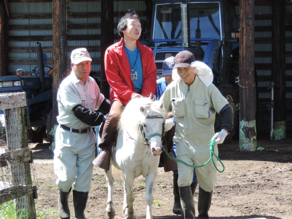 ここは写真が貼られています。
京都から参加した椎野さんは赤いジャンバーを着て白いホニーにまたがり農園のスタッフさん3名の
サポートで乗馬を楽しんています。宮沢さんは馬の手綱をしっかり持ってとびっきりの笑顔です。
椎野さんは何かを感じ取っているような様子に見えます。
ポニーの背中の高さは1メートル強、胸ぐらいですね。
背景には大きな青色のキャビン付きトラクターと小さなトラクターが写っています。
