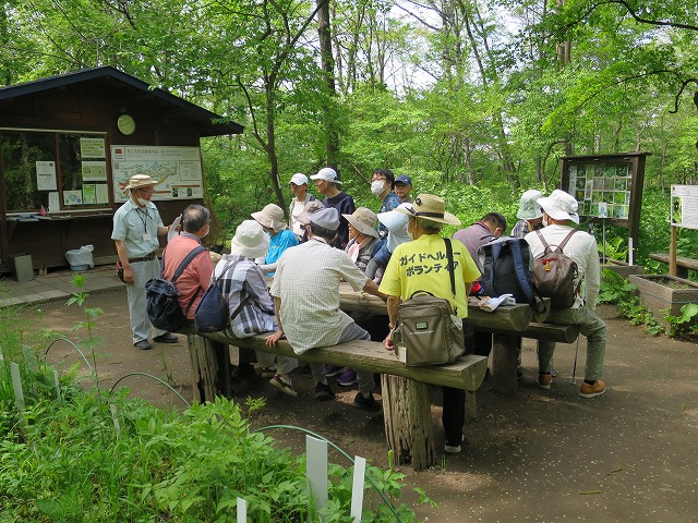 野草園で平木様の話を聞く参加者の様子